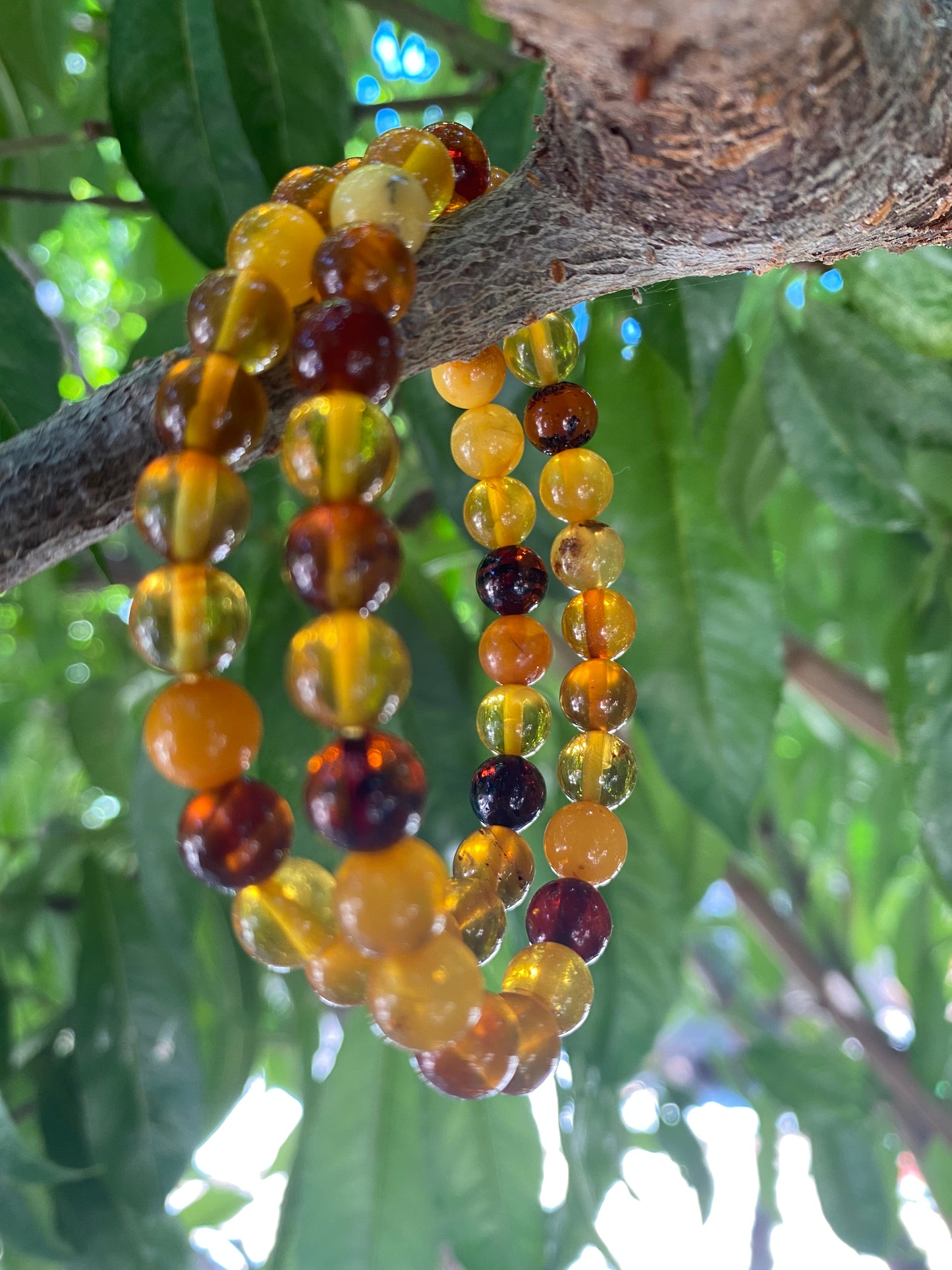 AMBER BRACELET