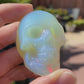 OPALITE SKULLS