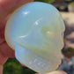 OPALITE SKULLS