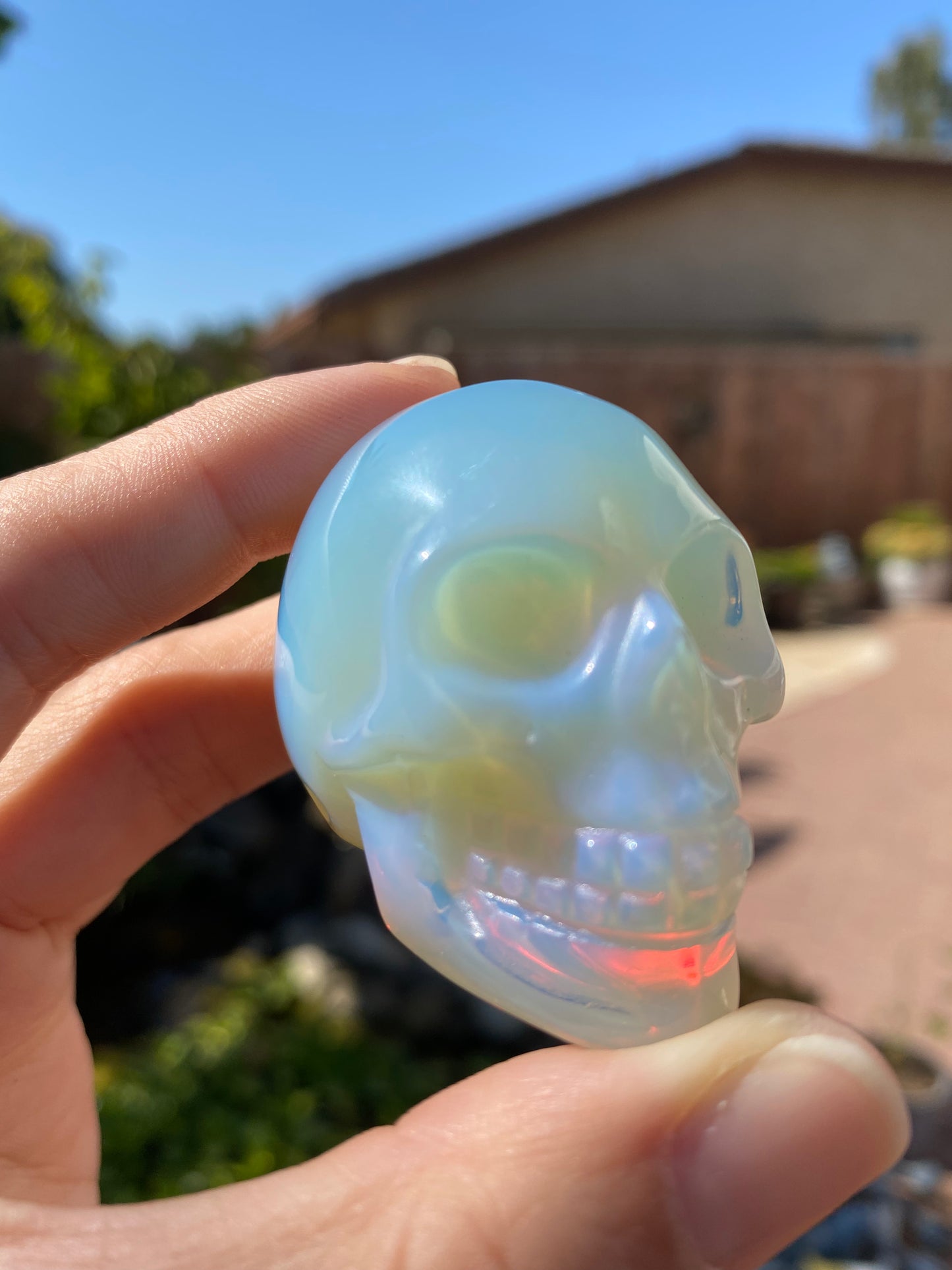 OPALITE SKULLS