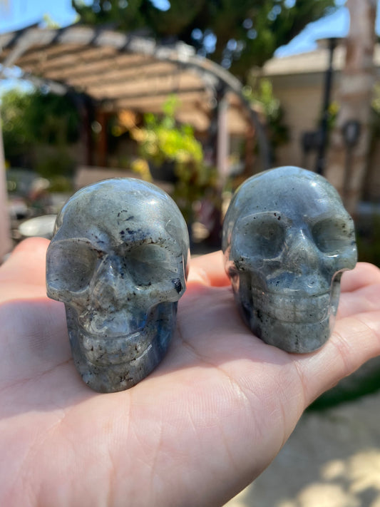 LABRADORITE SKULLS