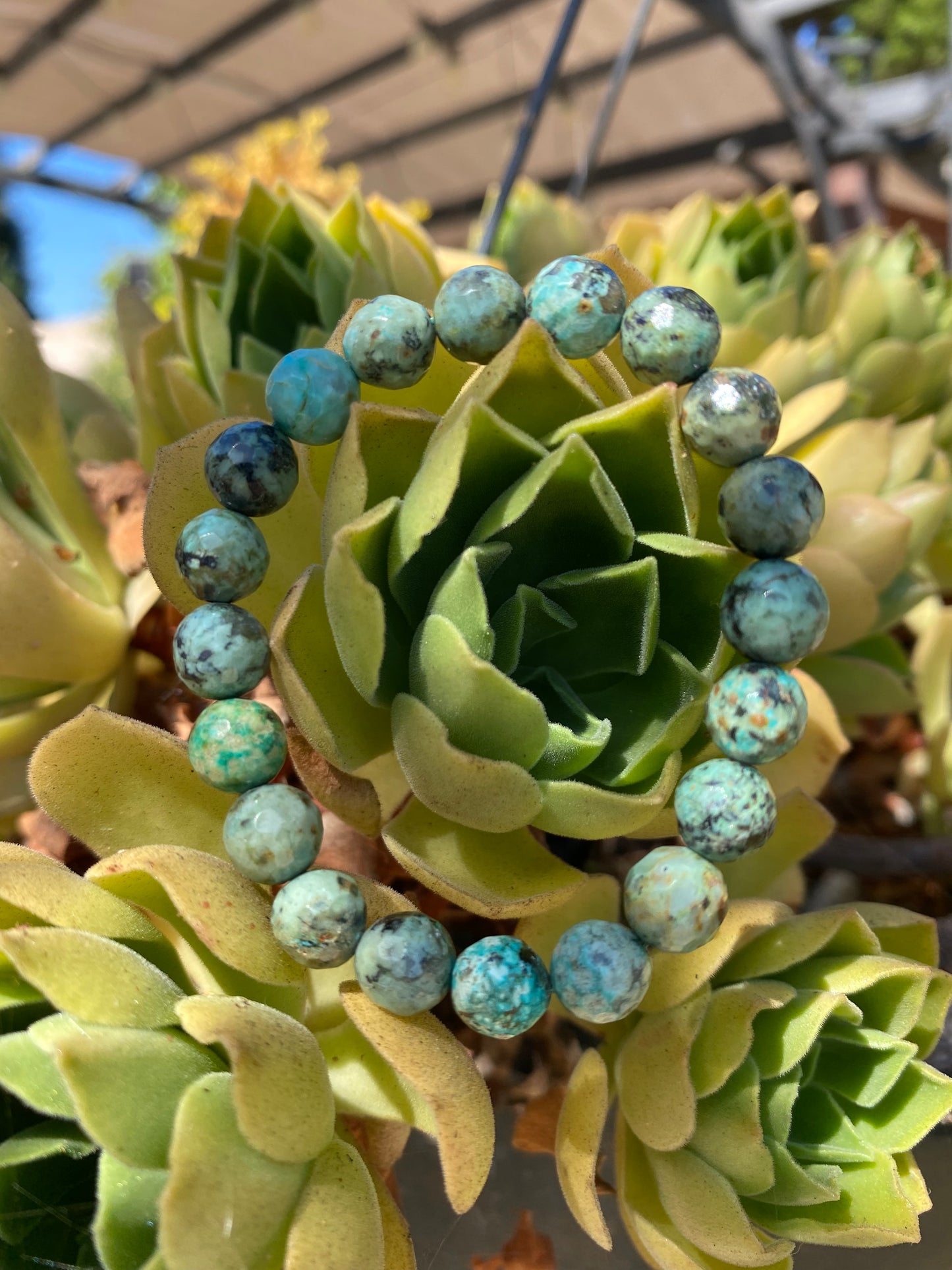 African Turquoise