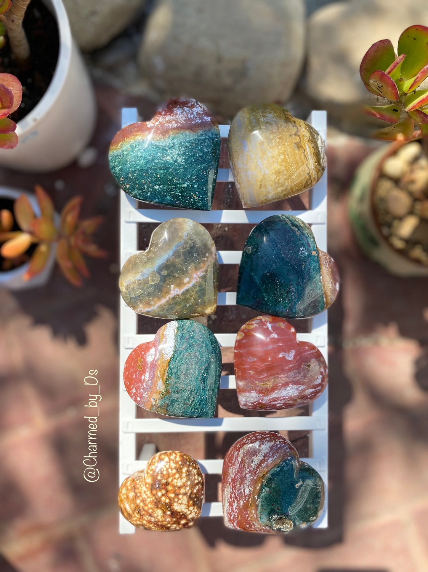 OCEAN JASPER HEARTS