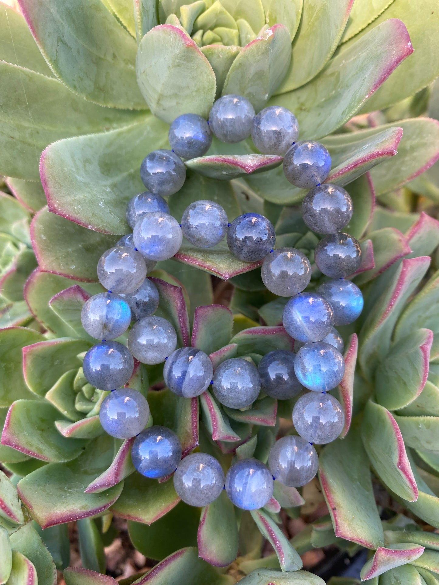 LABRADORITE (aaa high quality beads)