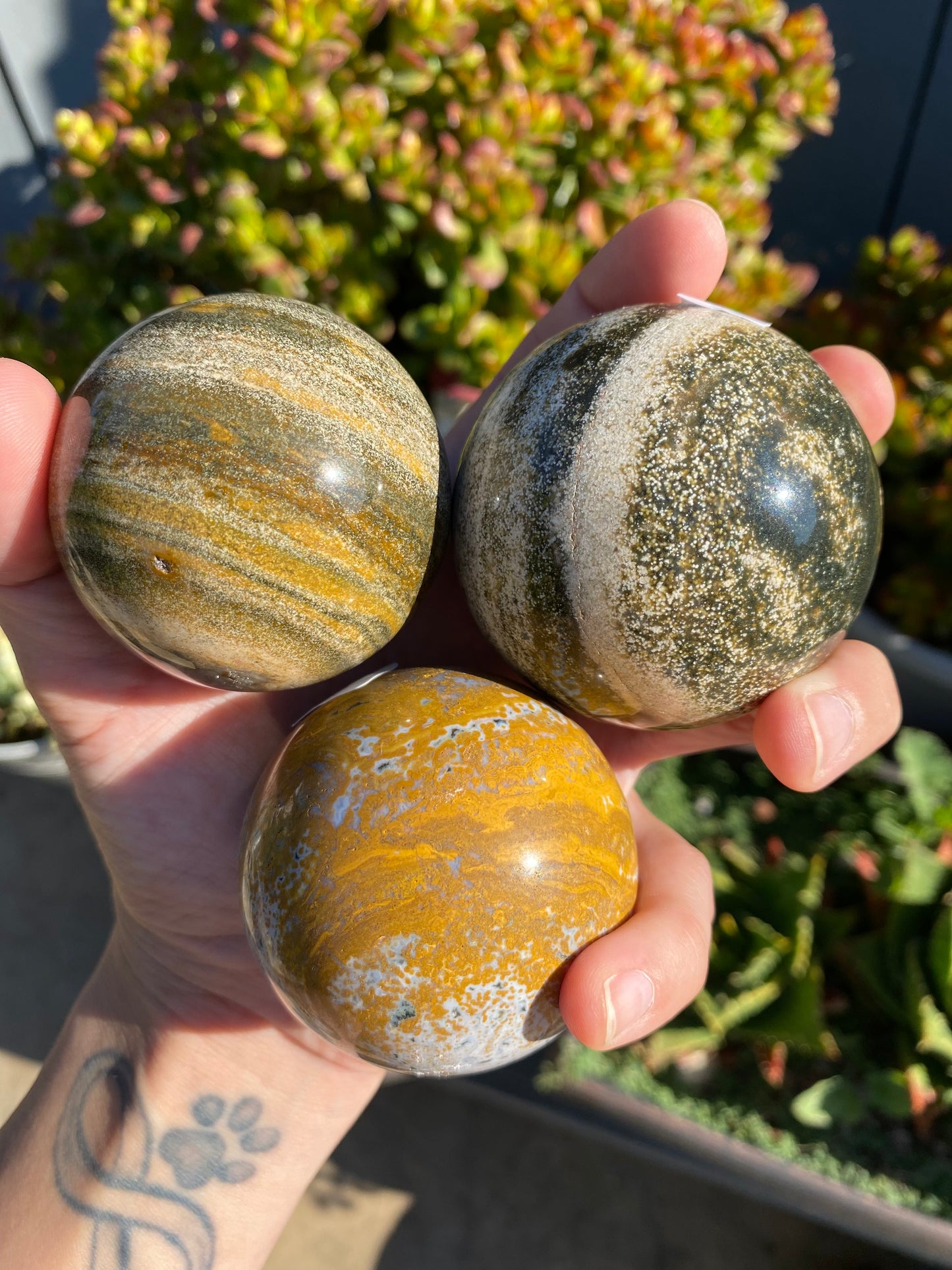 OCEAN JASPER SPHERES