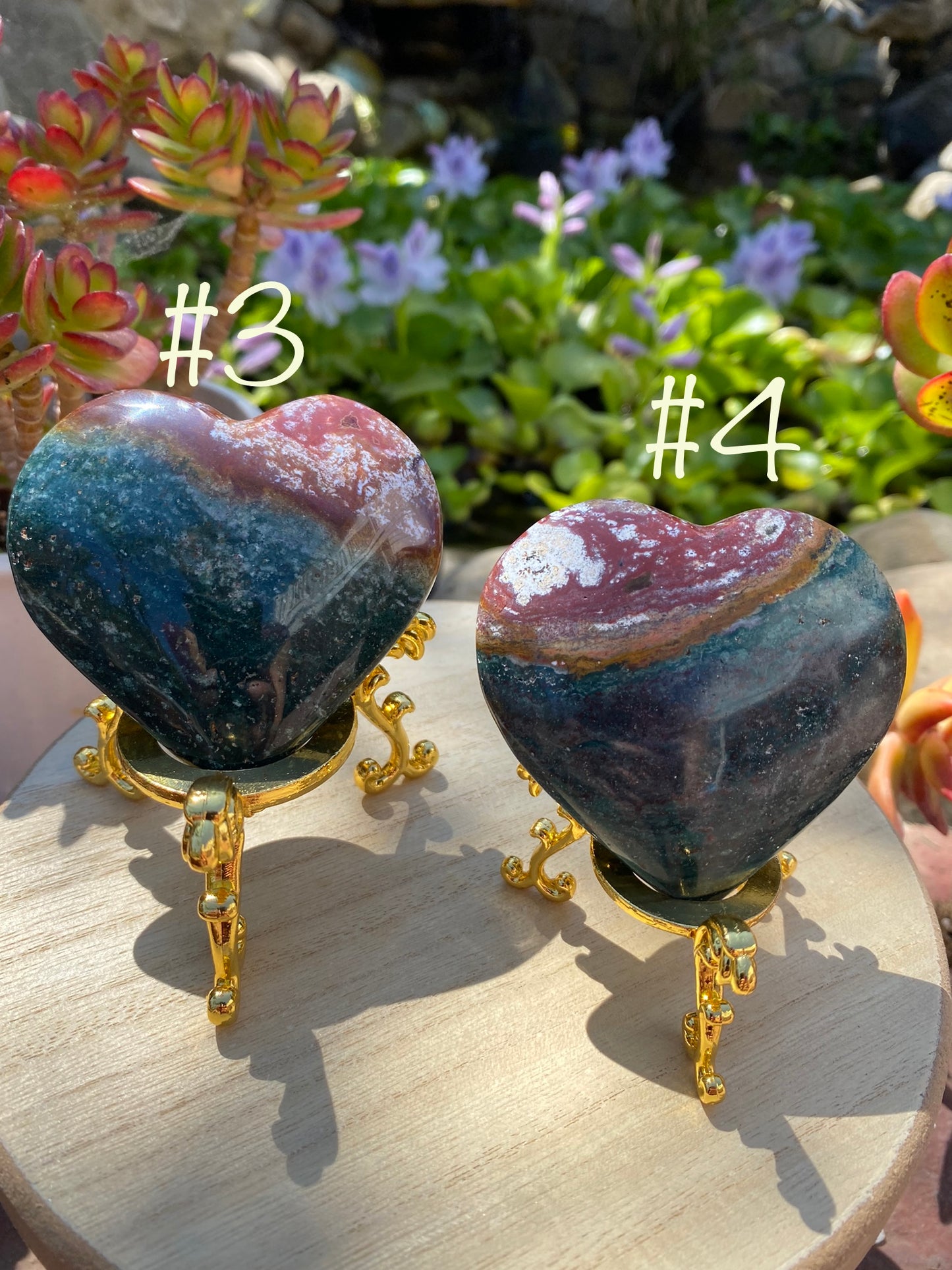 OCEAN JASPER HEARTS