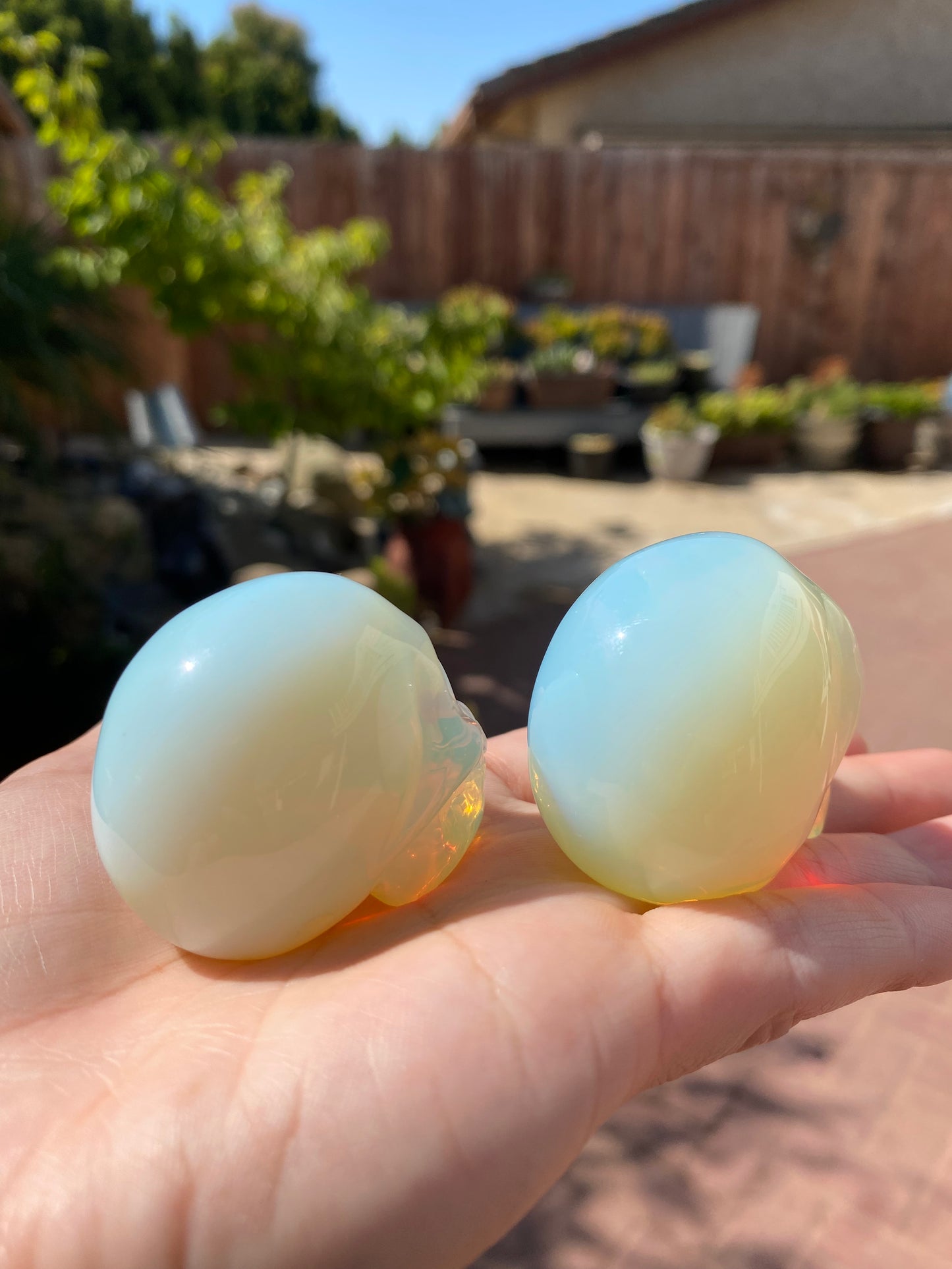 OPALITE SKULLS