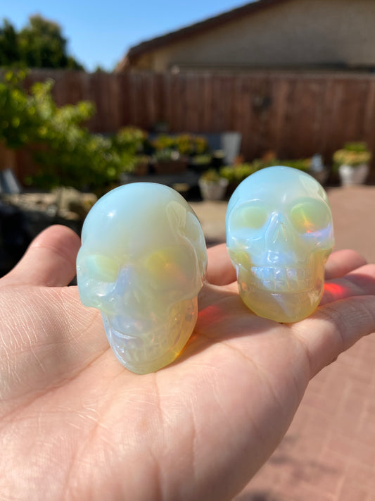 OPALITE SKULLS