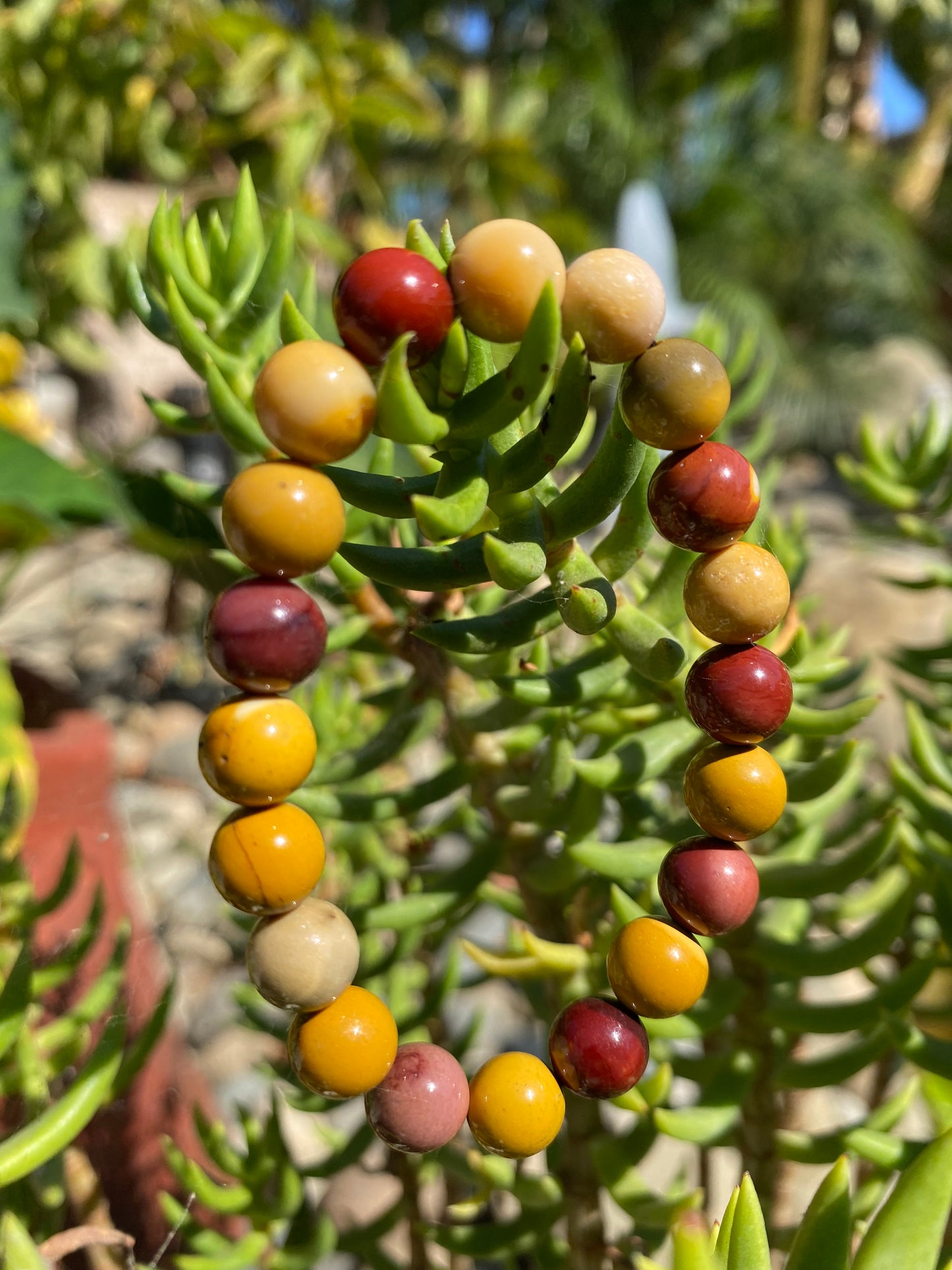 MOOKAITE (smooth round beads)