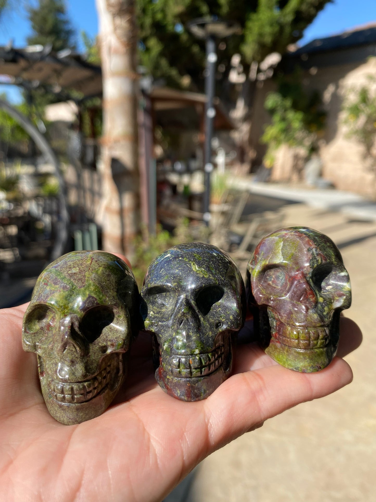 BLOODSTONE SKULLS