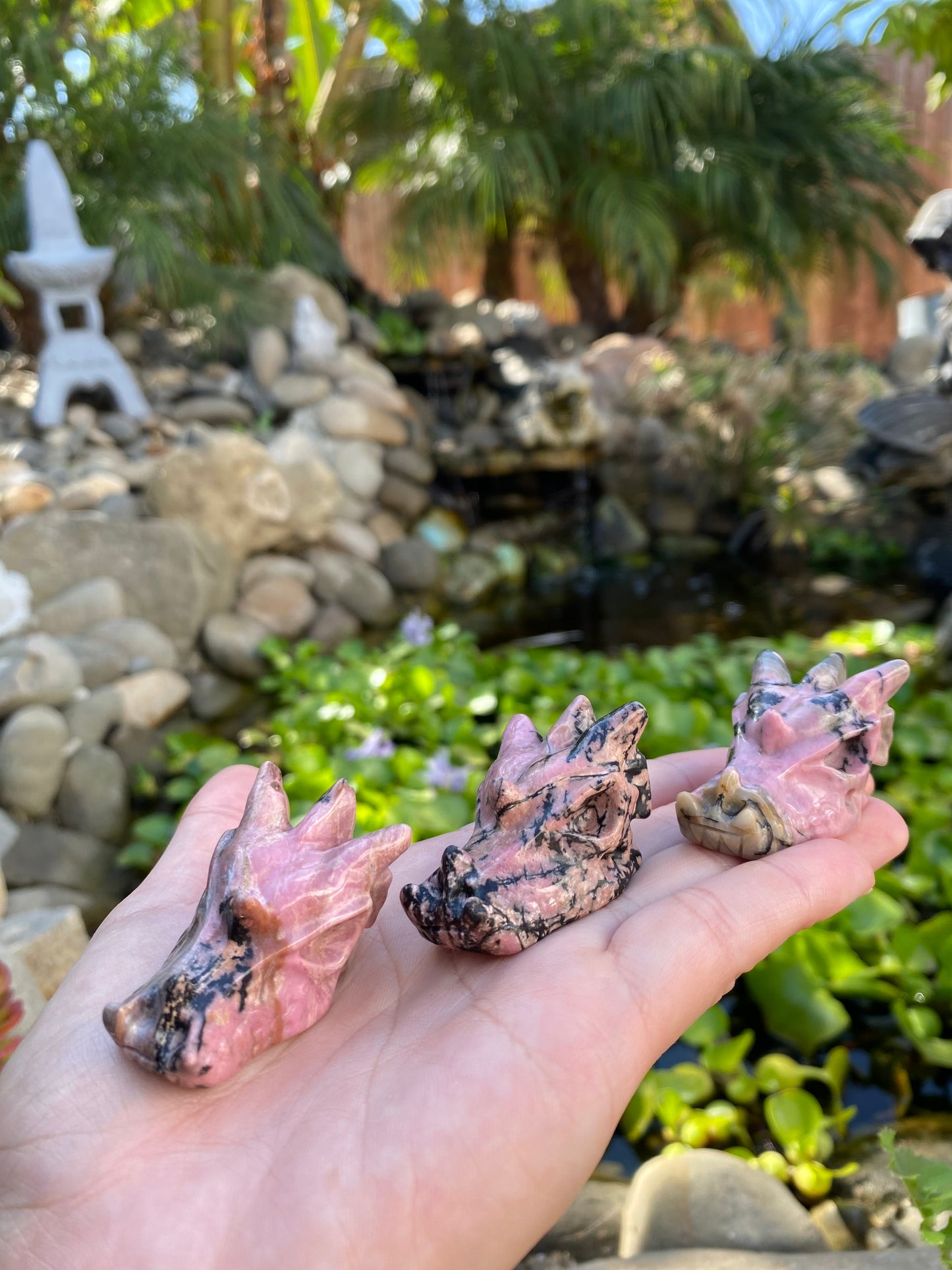 RHODONITE DRAGON HEADS