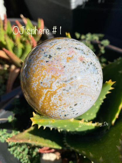 OCEAN JASPER SPHERES