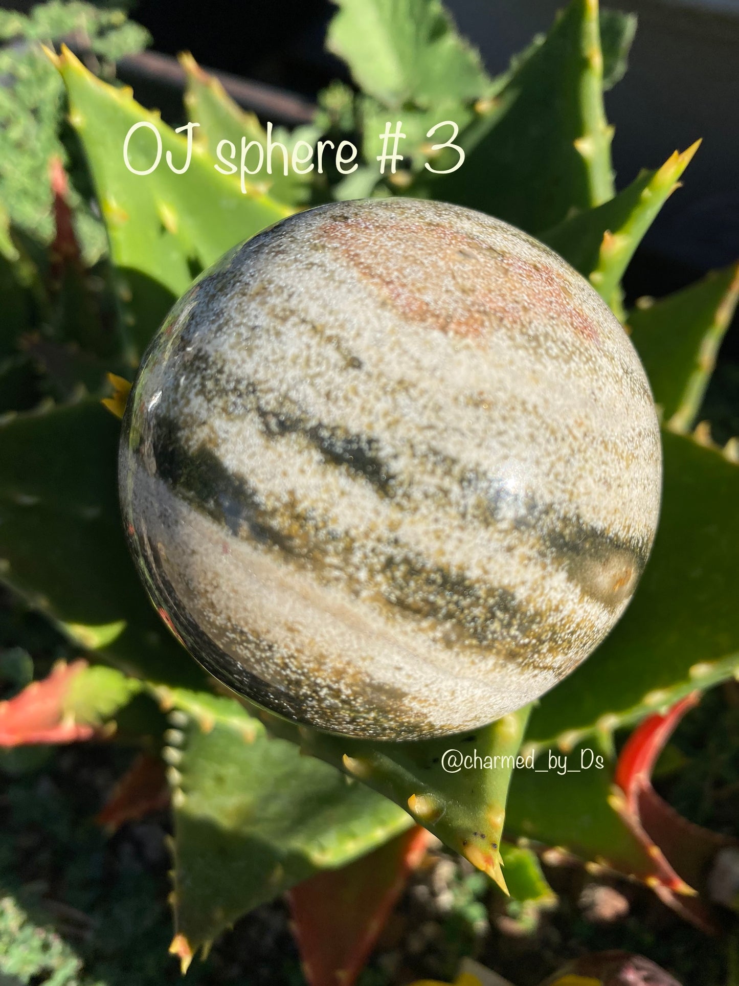 OCEAN JASPER SPHERES