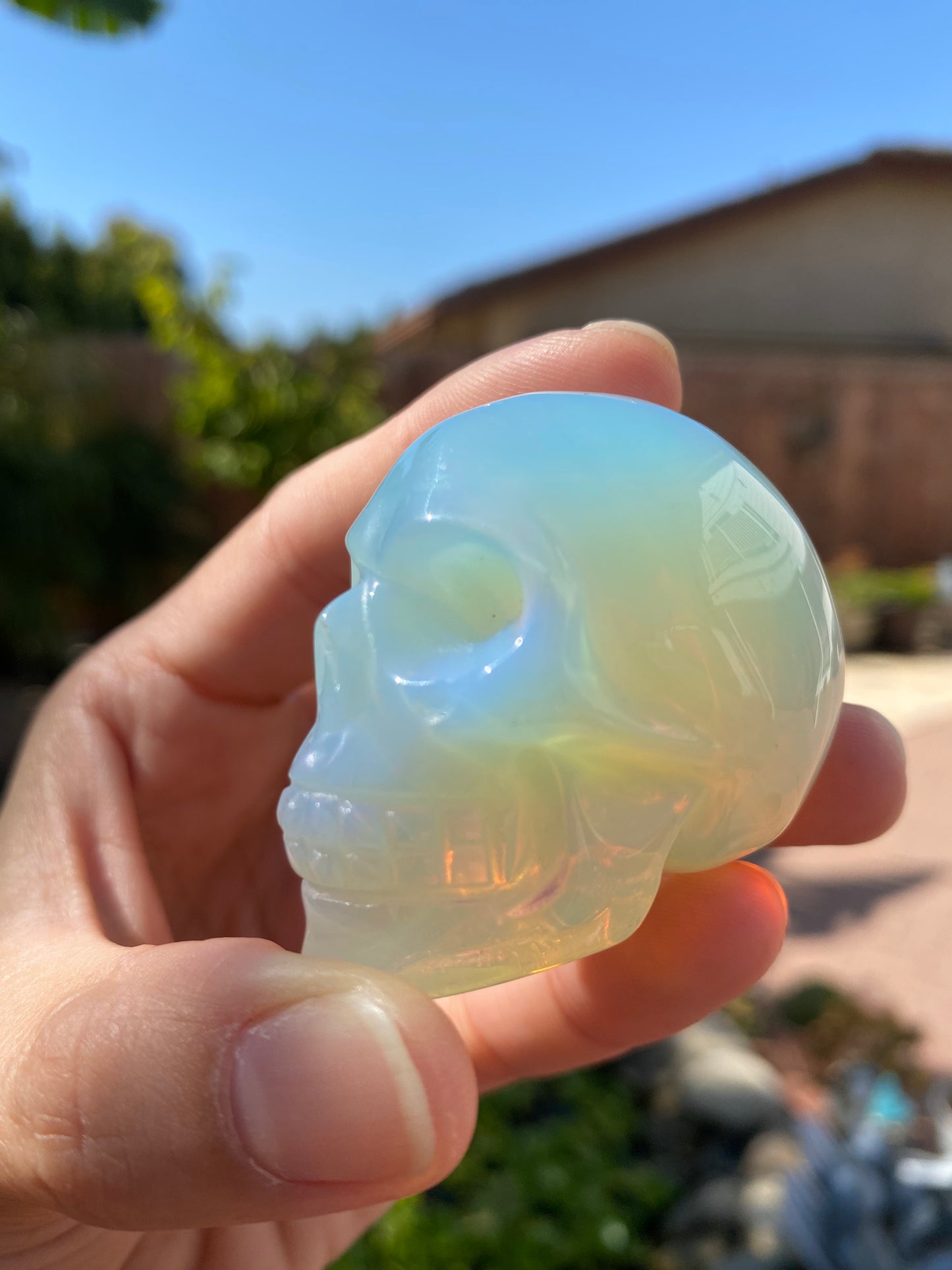 OPALITE SKULLS