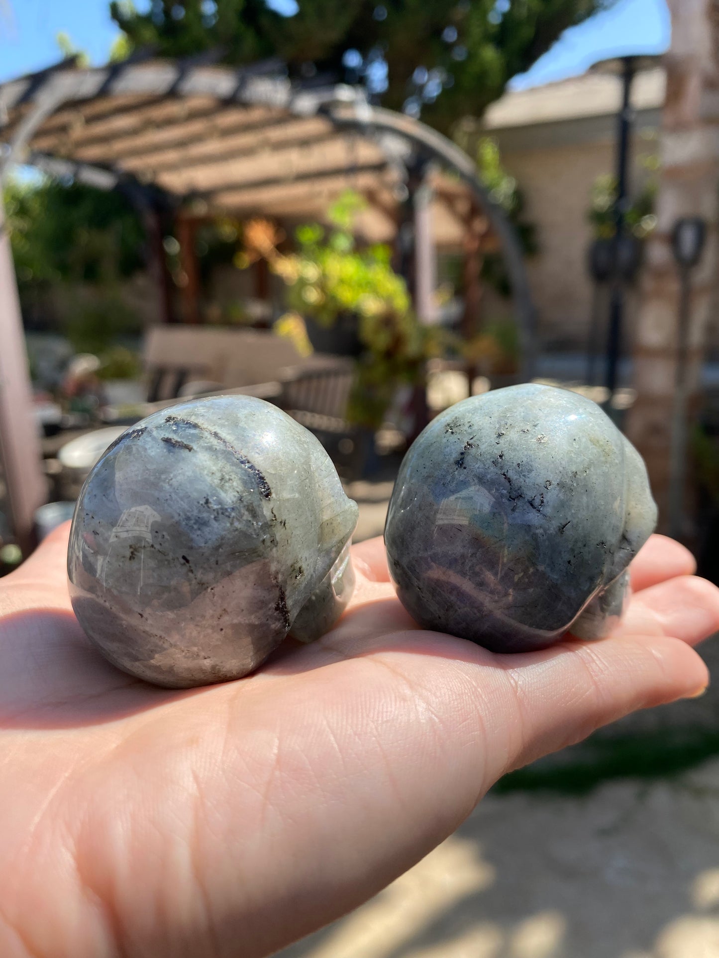 LABRADORITE SKULLS