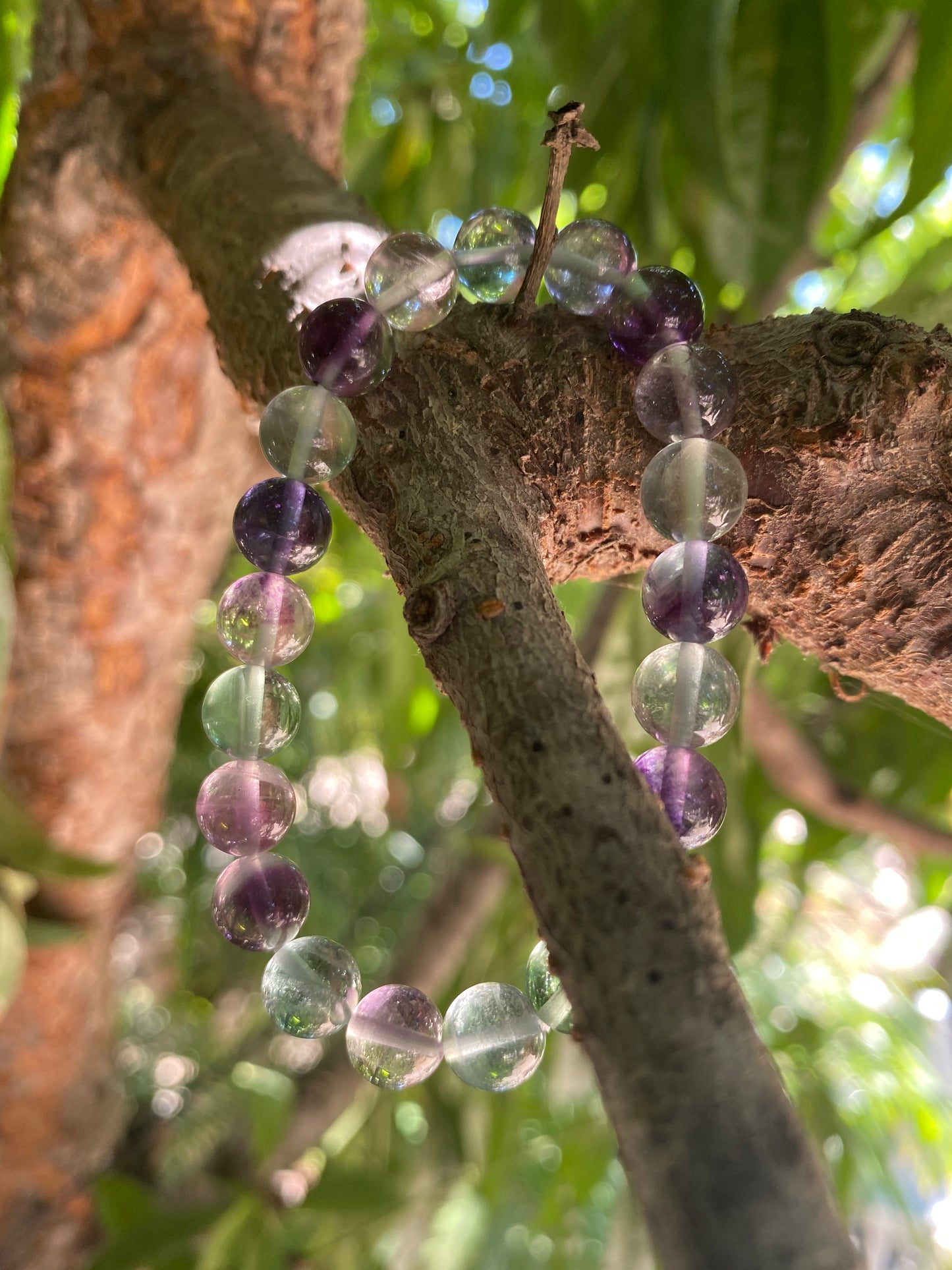 RAINBOW FLUORITE