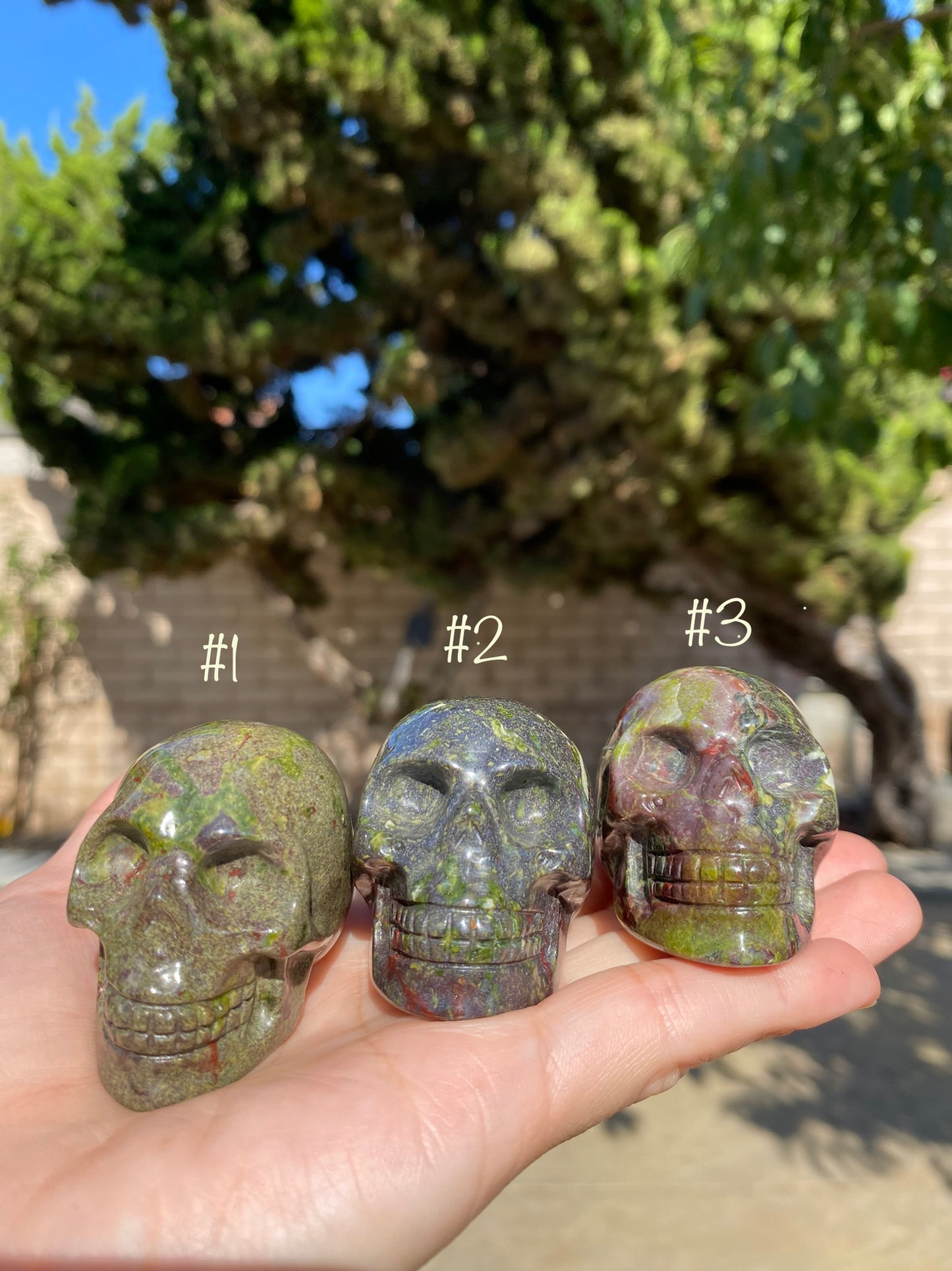 BLOODSTONE SKULLS