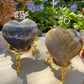 OCEAN JASPER HEARTS