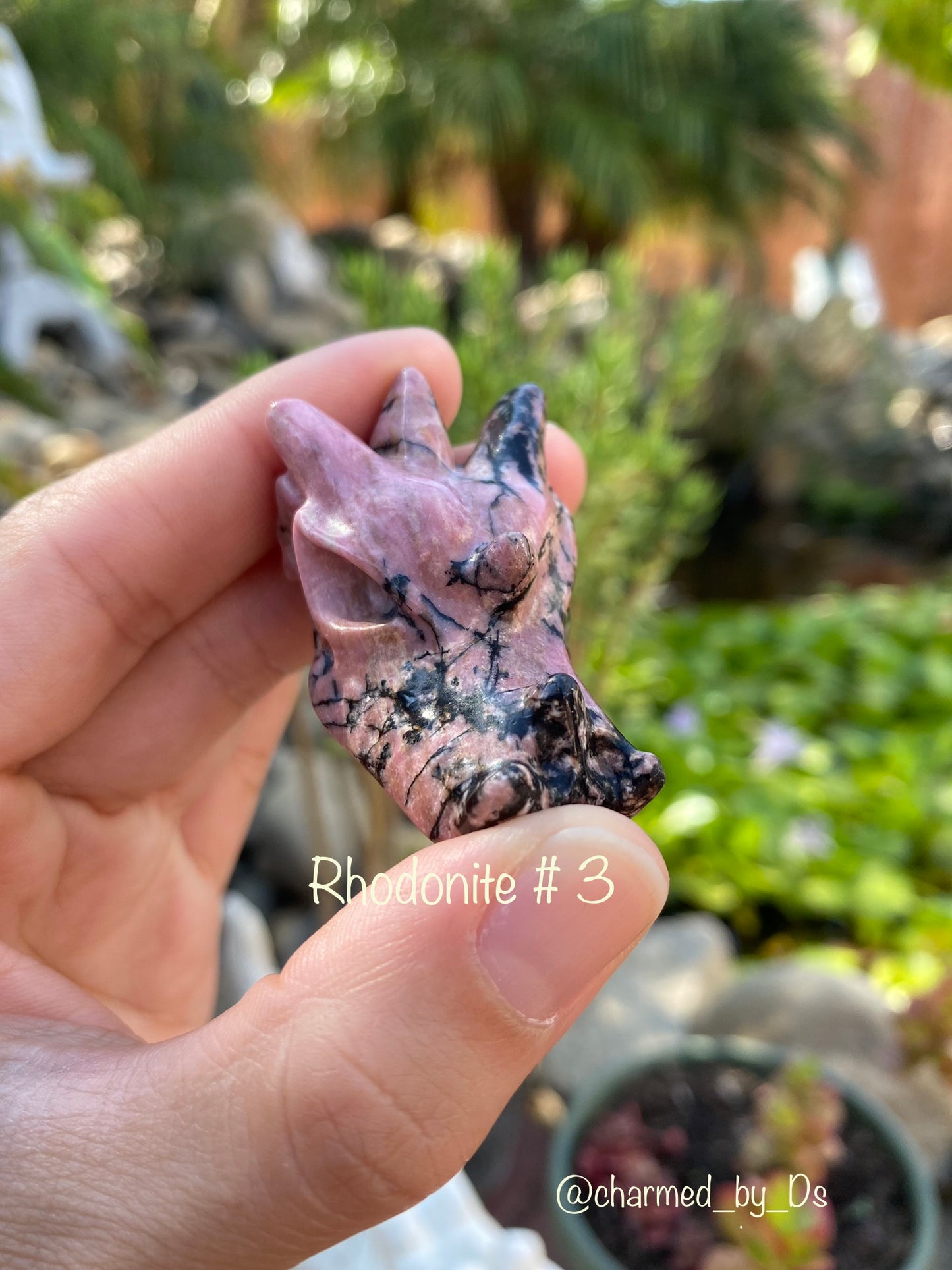 RHODONITE DRAGON HEADS