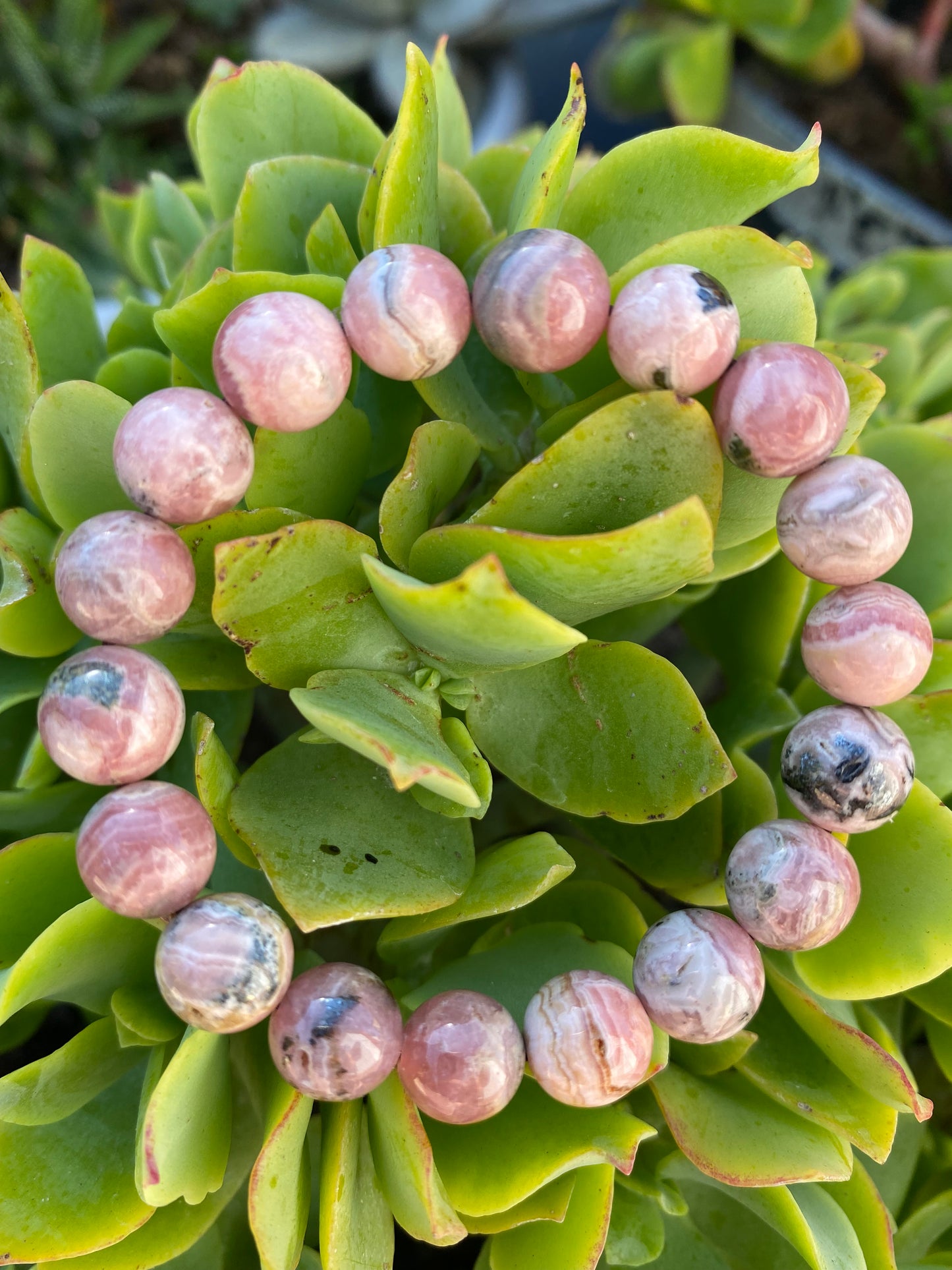 RHODOCHROSITE