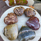 OCEAN JASPER HEARTS