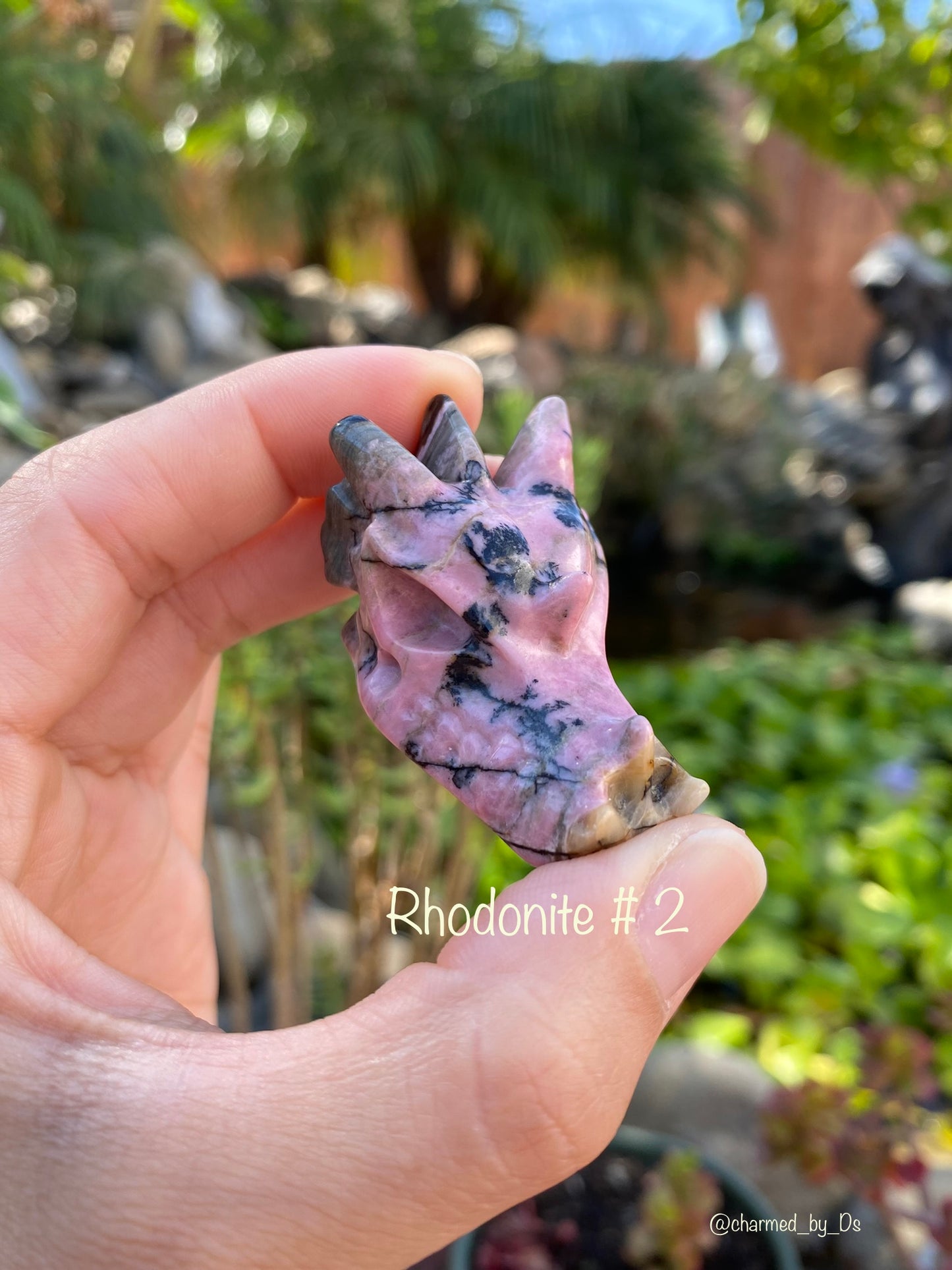 RHODONITE DRAGON HEADS